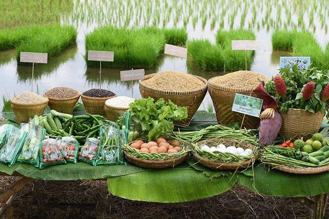 食用農(nóng)產(chǎn)品合格證 守護(hù)“舌尖上的安全”