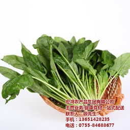 宏鴻農(nóng)產(chǎn)品集團(tuán) 一站式食材配送，守護(hù)餐桌健康與品質(zhì)