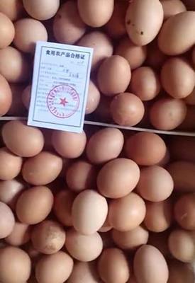 科左中旗發(fā)出首張食用農(nóng)產(chǎn)品合格證，農(nóng)產(chǎn)品質(zhì)量安全管理邁入新階段